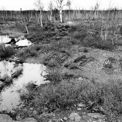Photograph - Blezard Mine smelter and roast yard
