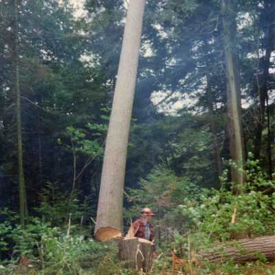 Photograph, Lumberjack, Unknown Location.