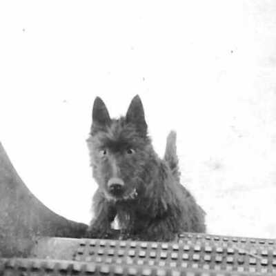 Photograph, 1936, Mac.