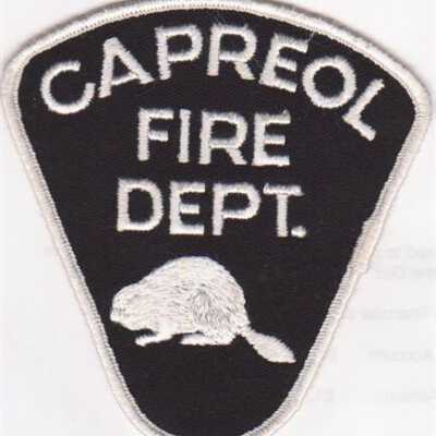 Photograph, Capreol Fire Department Patch.