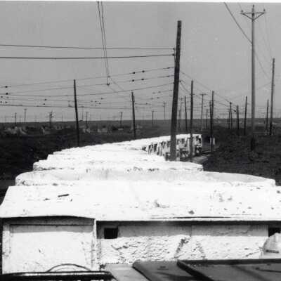 Photograph, INCO Cars.