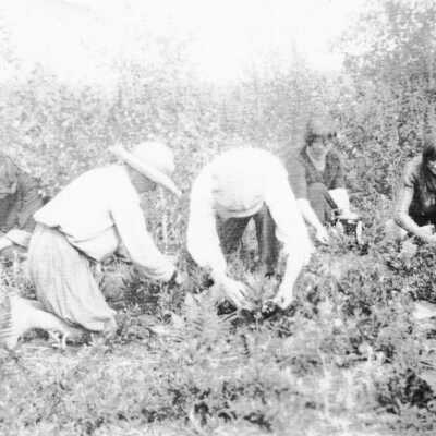 Photograph- "Blueberry Picking in Sellwood"