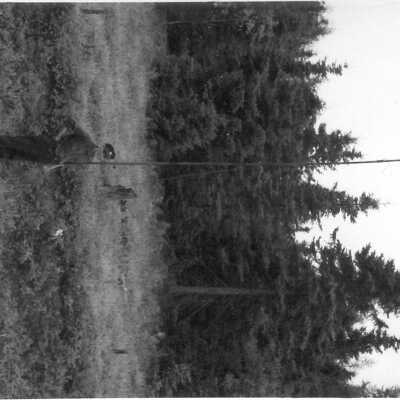 Photograph, Algoma Central, Unknown.