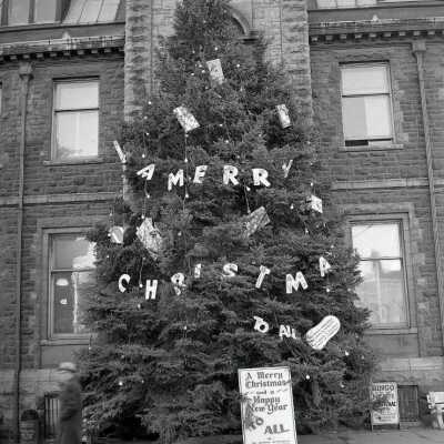 Photograph, Sudbury, Post Office Christmas Tree, Durham Street
