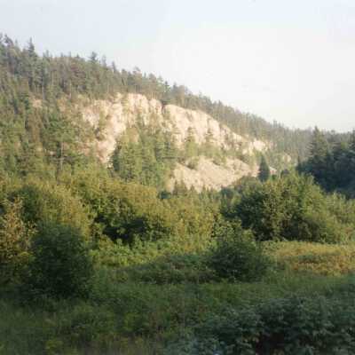 Photograph, Logging Expedition