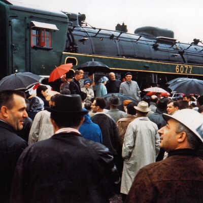 Photograph - Large group in front of steam locomotive no. 6077