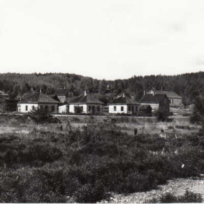 Photograph- "Homesteads in the Town of Sellwood"