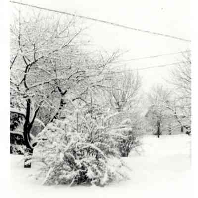 Arlington Ohio