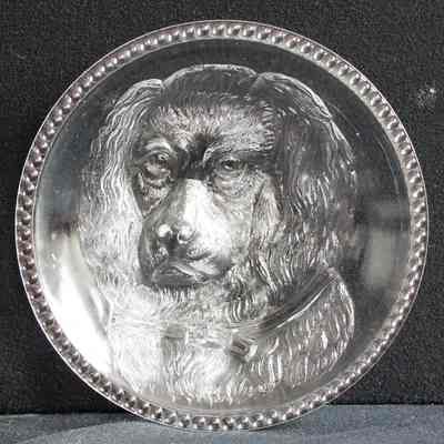 Dog Plate