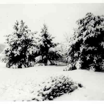 Arlington Ohio