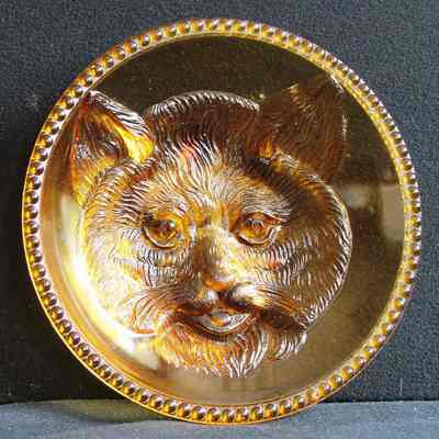 Cat Dish