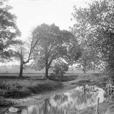 Eagle Creek Along Arlington Road