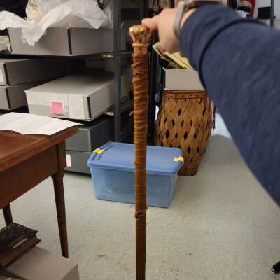 Cane/Walking Stick