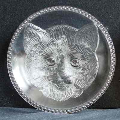 Cat Dish