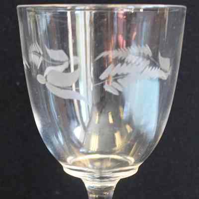 Etched Fern Pattern Goblet