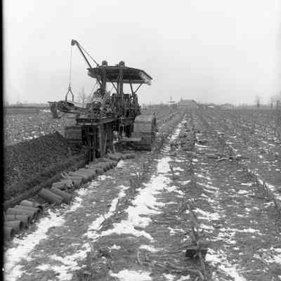 Buckeye Ditcher 1200-4