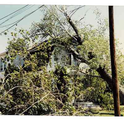 Tornado damage