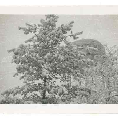 Water tower behind trees