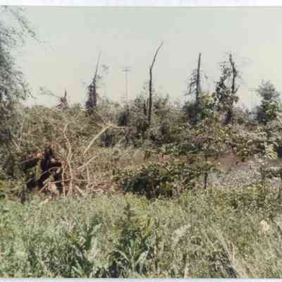 Tornado Damage