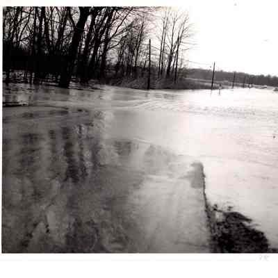 Misc Flood