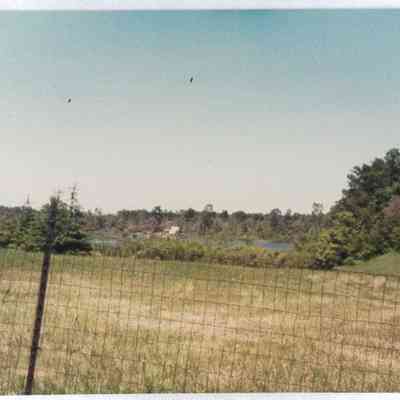 Tornado Damage