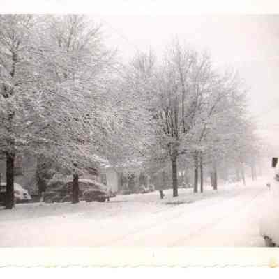 Blizzard of 1950-1951