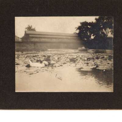 West Branch Covered Bridge