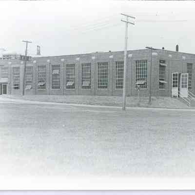 Electric plant