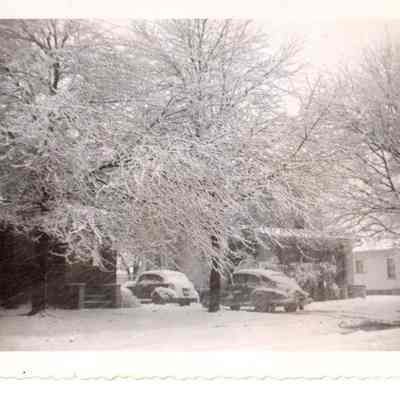 Blizzard of 1950-1951