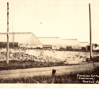 Postcard of Cleveland Cut Flowers Co (Greenhouses)