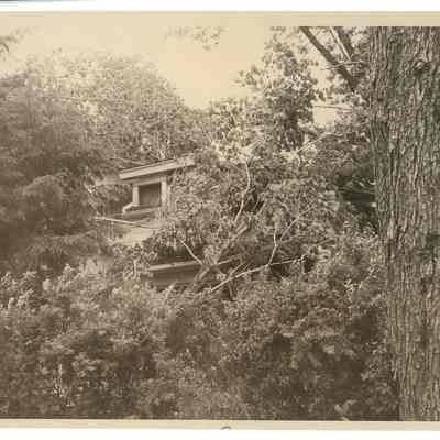Tornado Damage