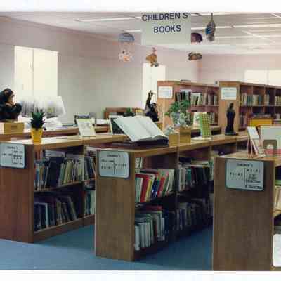 Newton Falls Public Library 1987