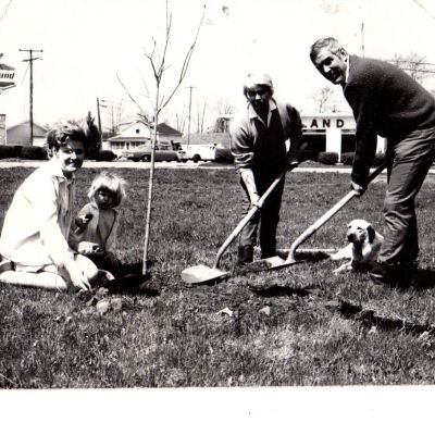 Tree Planting