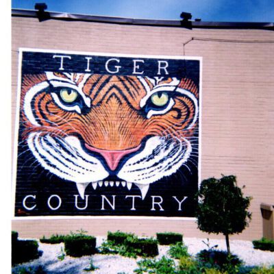 Tiger Country Mural