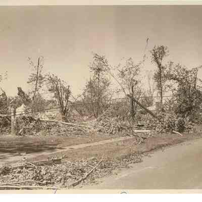Tornado tree damage