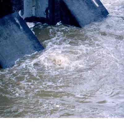 Flood of 2003