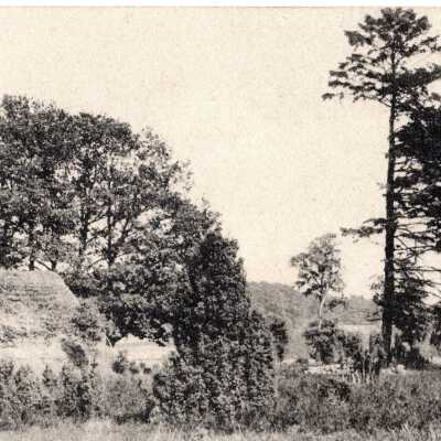 Postcard, 1913