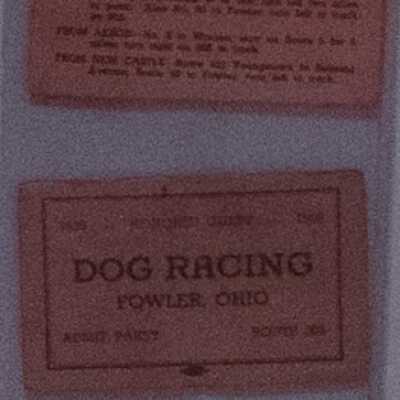 Dog Race