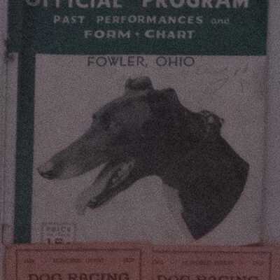 Dog Track Program