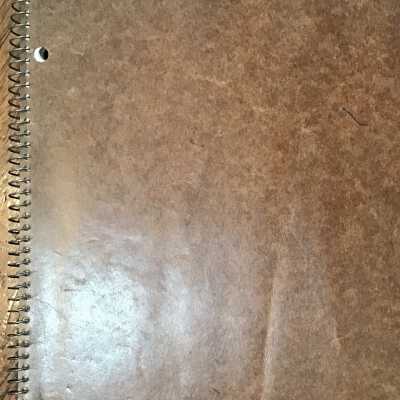 Notebook of Fowler school graduates