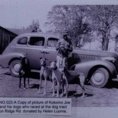 Dog Track