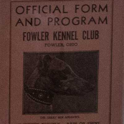 Dog Race Program