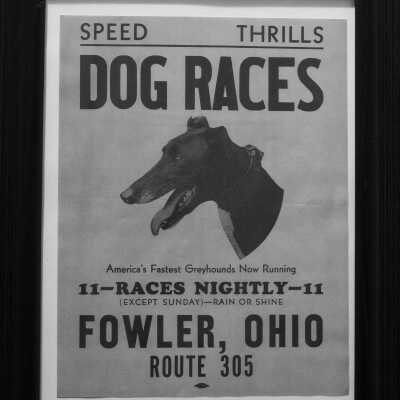 Poster Fowler Dog Races