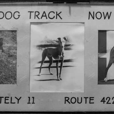 Fowler Dog Track