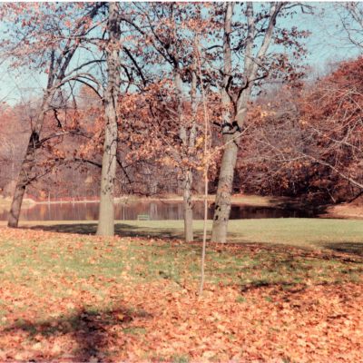 Harding Park Lake in Fall