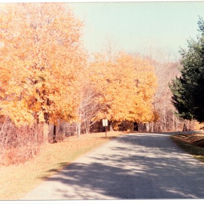 Harding Park in Fall