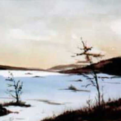 Winter Scene