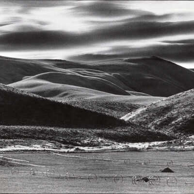 Untitled (watering lines)