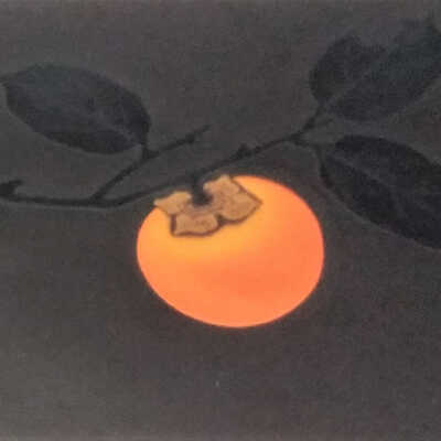 Persimmon-C