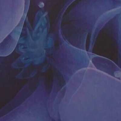 Hydrangea I